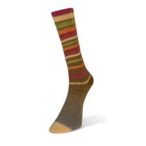 Laines Du Nord - Infinity Sock yarn 