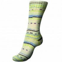 Regia - 8-ply Snow Color Sock Yarn